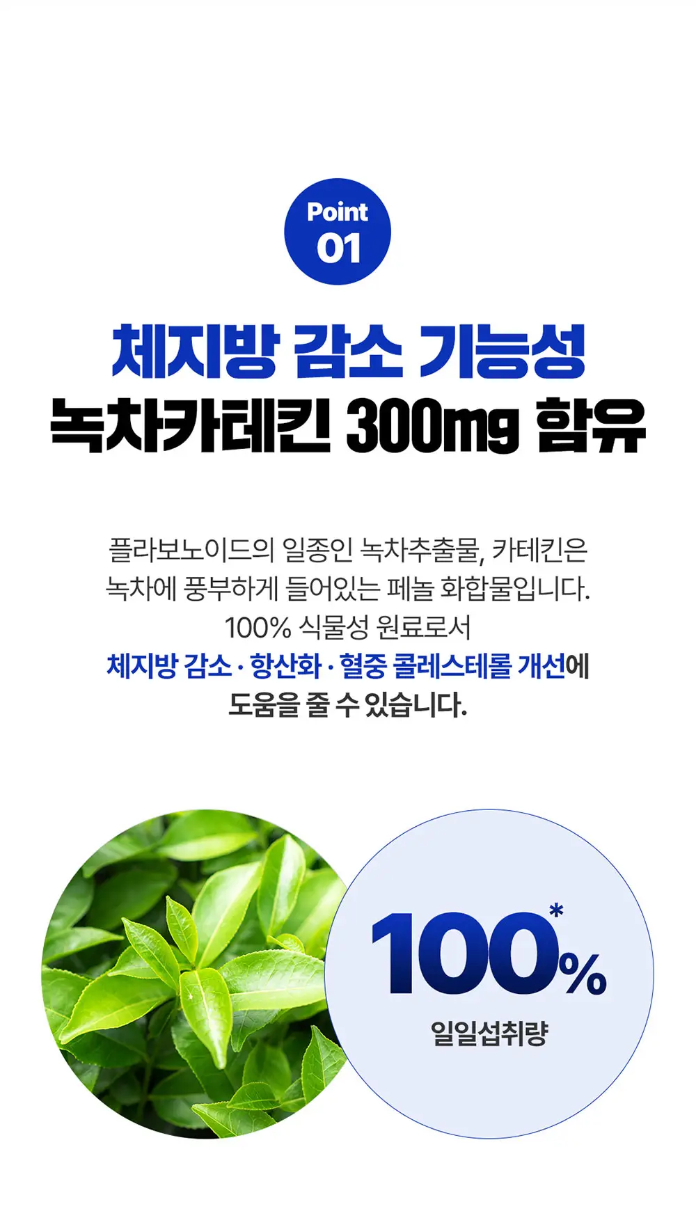 [체지방감소/지구력증진] 그린몬스터 맨 다이어트 피지컬 부스터 56정 (8주분) 상세페이지 11